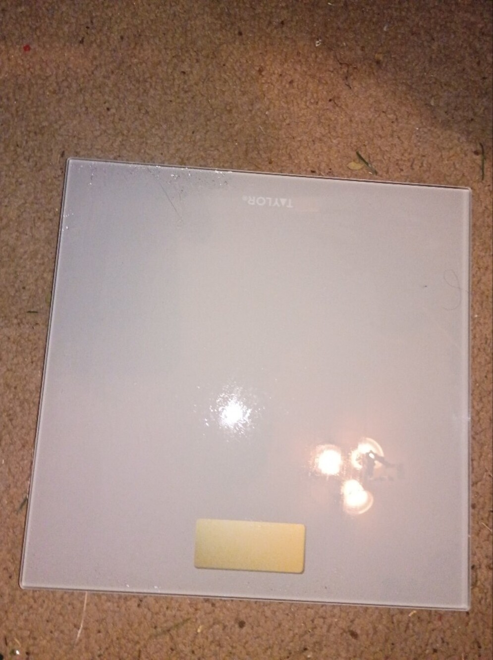New Scale - Picture 1 of 6